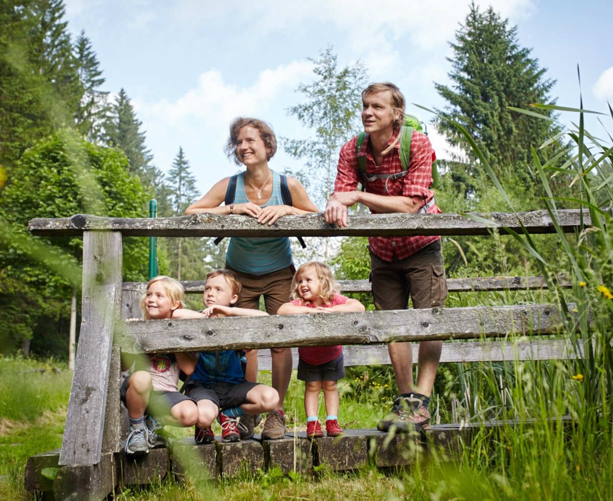 Familie auf einer Brücke beim Wandern in den Wiener Alpen | © Wiener Alpen / Florian Lierzer Familie steht auf einer Brücke beim Wandern | © Wiener Alpen / Florian Lierzer