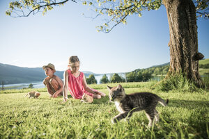 Kinder spielen mit kleinen Katzen am Bauernhof direkt am See | © Urlaub am Bauernhof Oberösterreich / Robert Maybach
