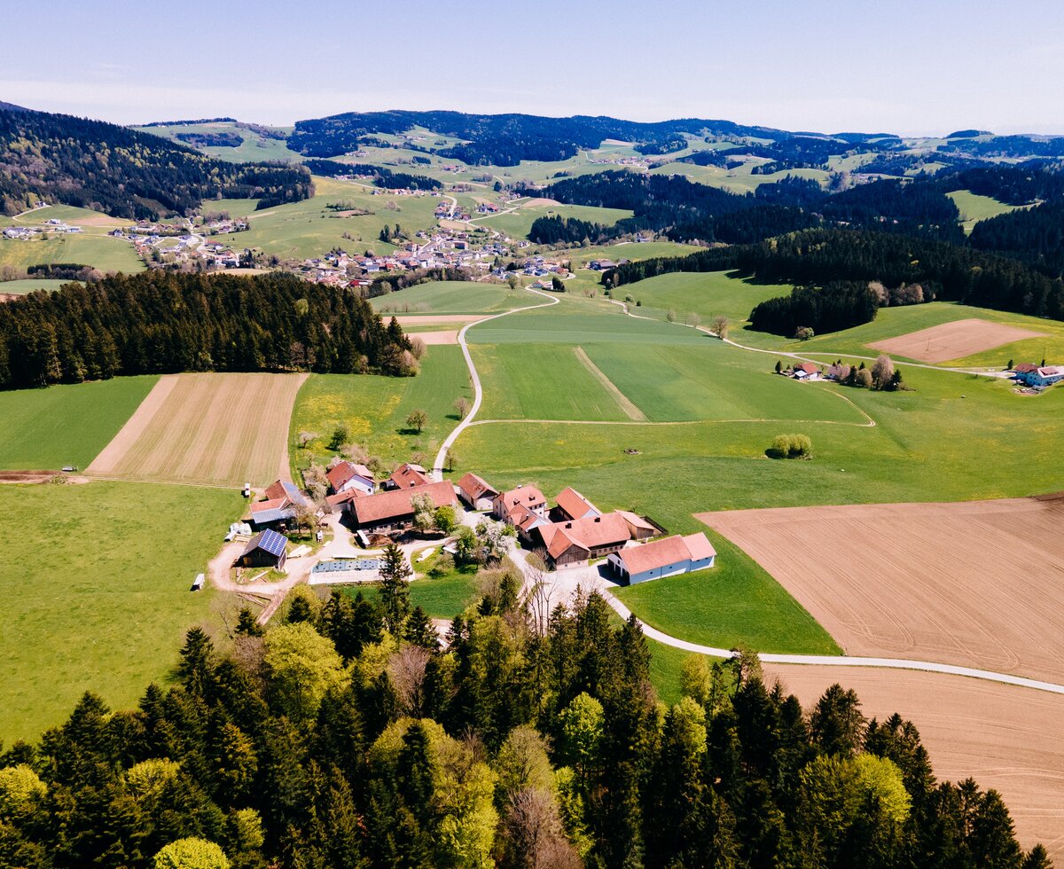 Biohof Stadler in Oberkappel | © Urlaub am Bauernhof Oberösterreich / Daniel Gollner Biohof Stadler in Oberkappel, Mühlviertel | © Urlaub am Bauernhof Oberösterreich / Daniel Gollner
