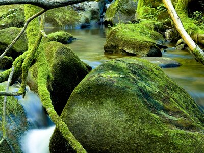 Mystischer Wald mit grünen, moosbewachsenen Granitfelsen und einem Waldbach, Mühlviertel | © Oberösterreich Tourismus GmbH / Hermann Erber
