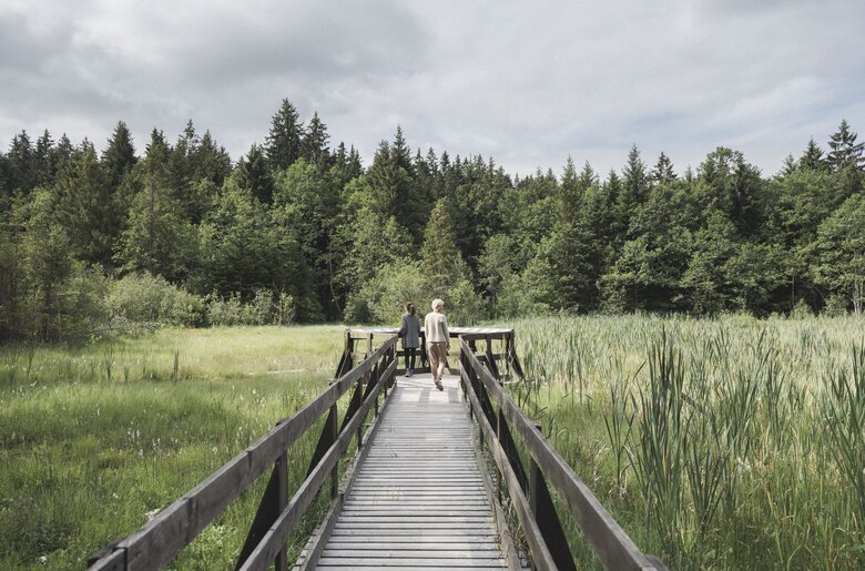 Zwei Frauen spazieren am Moorwald-Lehrpfad in Bad Leonfelden, Mühlviertel | © Oberösterreich Tourismus GmbH / Robert Maybach