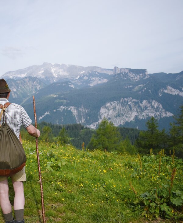 Almbauer blickt auf die Berge der Nationalparkregion Kalkalpen | © Urlaub am Bauernhof Oberösterreich / Harald Puchegger