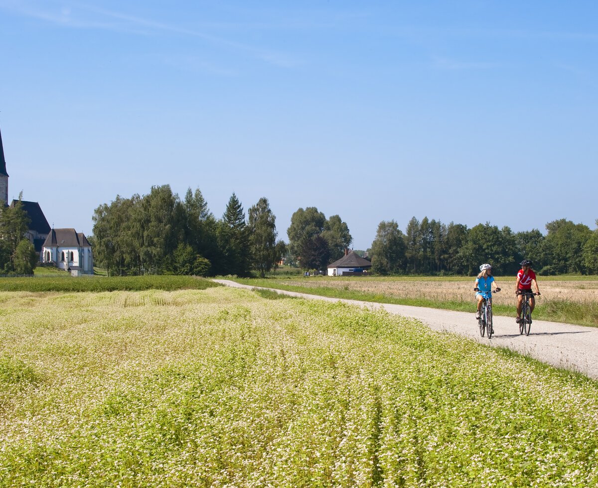 Auf dem Römerradweg | © Oberösterreich Tourismus GmbH / Hermann Erber Zwei Radler auf dem Römerradweg, Zentralraum | © Oberösterreich Tourismus GmbH / Hermann Erber