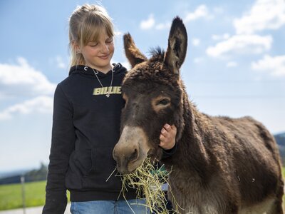 Esel lieben Streicheleinheiten | © Urlaub am Bauernhof Oberösterreich / Puremotions Photography Mädchen krault Esel am Kopf | © Urlaub am Bauernhof Oberösterreich / Puremotions Photography