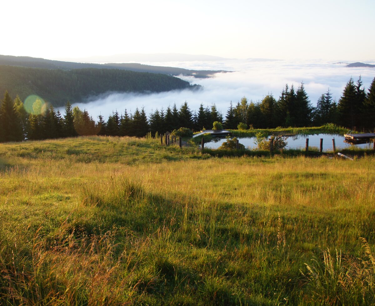 Blick von der Galgenhütte | © Urlaub am Bauernhof Österreich / Markus Lackinger morgendlicher Blick von der Galgenhütte ins nebelige Tal | © Urlaub am Bauernhof Österreich / Markus Lackinger