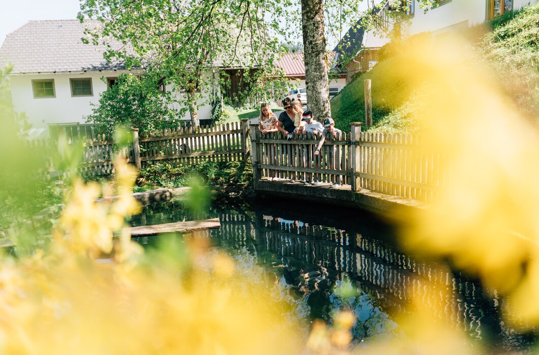 Malerischer, idyllischer Ort mit einem Bach, einer Holzbrücke und Gebäuden, umgeben von üppiger Vegetation. Menschen sitzen auf der Brücke und genießen die friedliche Umgebung. | © Urlaub am Bauernhof / Daniel Gollner 
