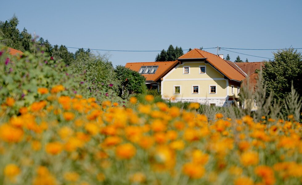 Ein gelbes Haus mit Ziegeldach umgeben von blühenden Blumen und Bäumen in einer ländlichen Umgebung, mit einem klaren blauen Himmel als Hintergrund.