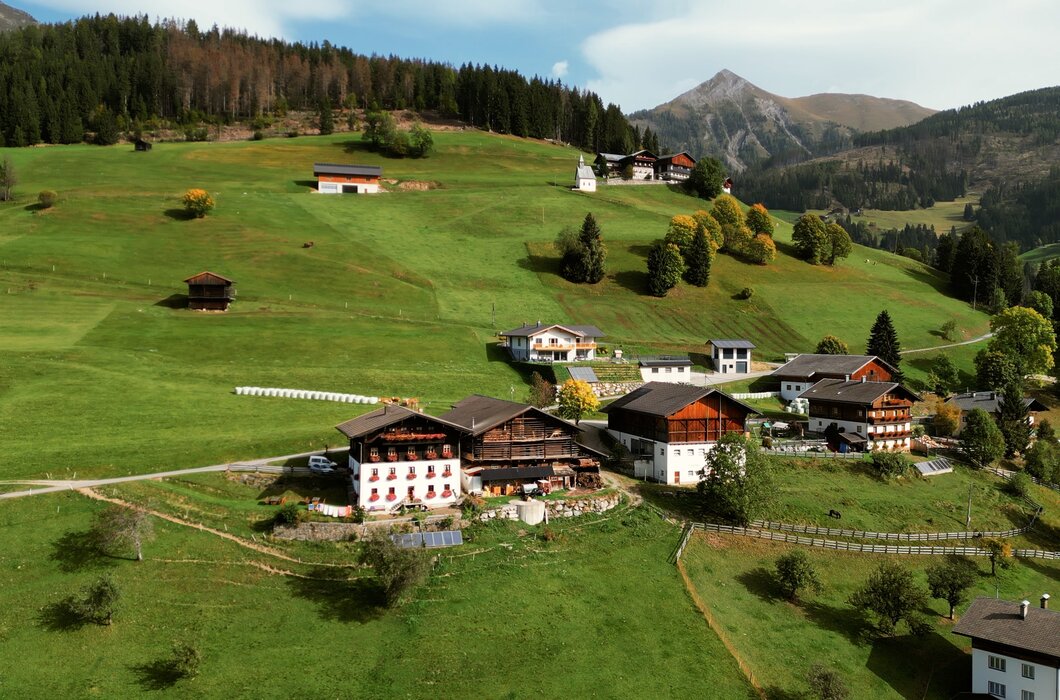Idyllische Berglandschaft mit grünen Wiesen, Wäldern und Häusern im traditionellen Baustil. Ferne Bergketten und ein blauer Himmel runden die friedliche Szene ab. | © Urlaub am Bauernhof / Daniel Gollner