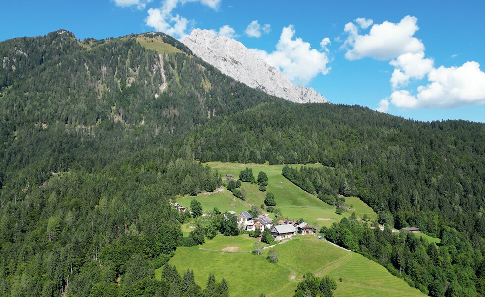 Bergpanorama mit üppigen Wäldern, smaragdgrünen Wiesen und verstreuten Häusern, umgeben von majestätischen Bergkuppen unter einem wolkenlosen blauen Himmel. | © Urlaub am Bauernhof / Daniel Gollner