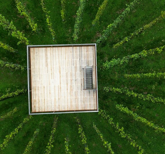 Holzhaus inmitten einer üppigen, grünen Waldlandschaft, umgeben von zahlreichen Baumkronen, die einen natürlichen Rahmen bilden. | © Urlaub am Bauernhof / Daniel Gollner