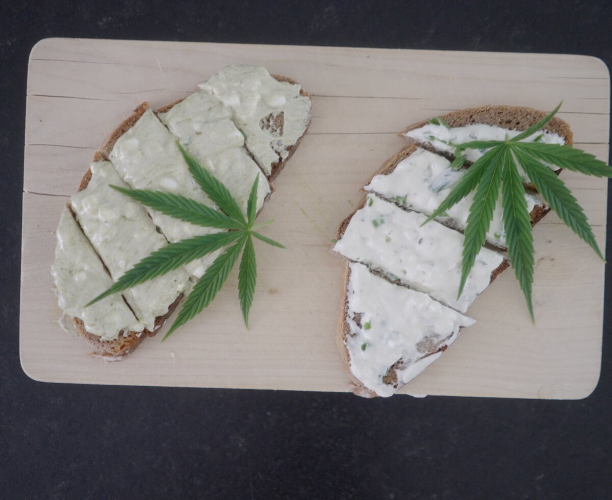 Zwei Stücke Brot mit Käsebruch, dekoriert mit grünen Cannabis-Blättern auf einem Holzbrett. | © Urlaub am Bauernhof / Daniel Gollner