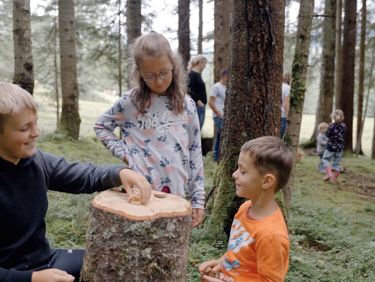 In einem Waldstück untersuchen junge Menschen gemeinsam einen abgesägten Baumstumpf. Das Bild vermittelt einen Eindruck von Entdeckerfreude und Naturerlebnissen. | © Urlaub am Bauernhof / Daniel Gollner