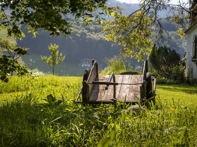 alter Milchwagen am Hof | © Urlaub am Bauernhof Österreich / Bernd Suppan alter Milchwagen in der Wiese am Hof | © Urlaub am Bauernhof Österreich / Bernd Suppan