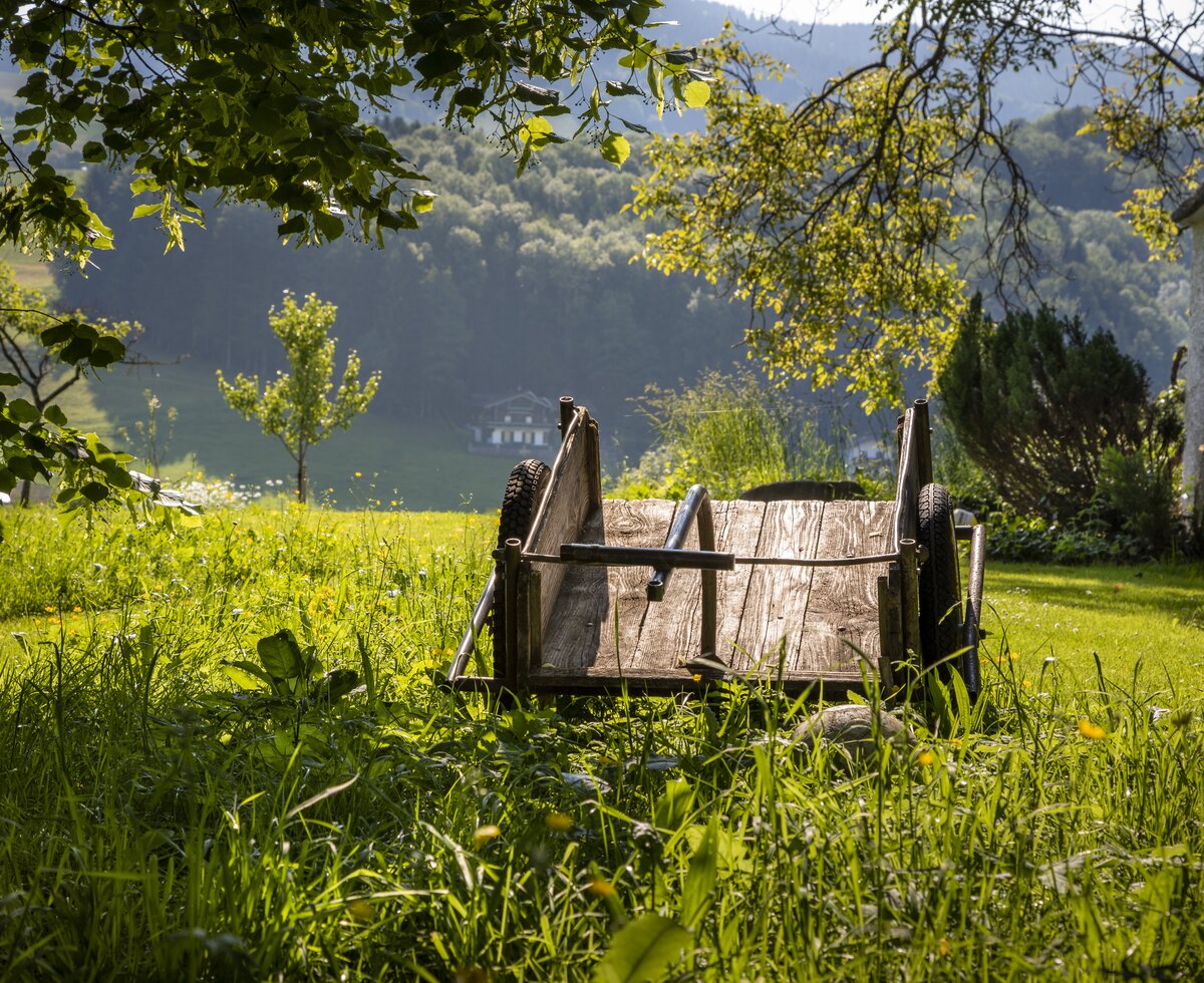 alter Milchwagen am Hof | © Urlaub am Bauernhof Österreich / Bernd Suppan alter Milchwagen in der Wiese am Hof | © Urlaub am Bauernhof Österreich / Bernd Suppan