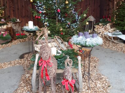 geschmückter Christbaum in kleiner Holzhütte mit Dekoration | © Urlaub am Bauernhof