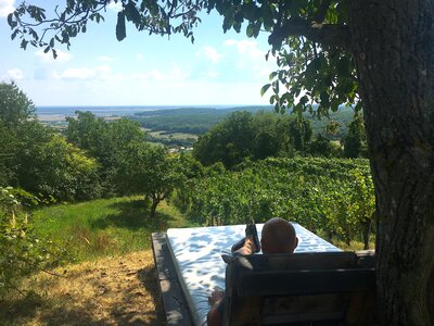 Liege mit Blick in den Weingarten | © Urlaub am Bauernhof / Antje Zimmermann Liege mit Blick in den Weingarten | © Urlaub am Bauernhof / Antje Zimmermann