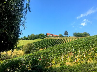 © Urlaub am Bauernhof / Antje Zimmermann © Urlaub am Bauernhof / Antje Zimmermann