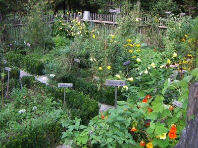 Kräutergarten im Salzburger Freilichtmuseum | © Salzburger Freilichtmuseum Kräutergarten im Salzburger Freilichtmuseum | © Salzburger Freilichtmuseum