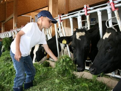 2 Buben helfen im Stall | © Urlaub am Bauernhof Österreich / Eller 2 Buben helfen im Stall beim Kühe füttern | © Urlaub am Bauernhof Österreich / Eller