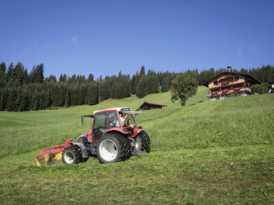 Bauer mit Traktor bei der Feldarbeit | © Urlaub am Bauernhof / Lisa Hörterer Bauer mit Traktor bei der Feldarbeit | © Urlaub am Bauernhof / Lisa Hörterer