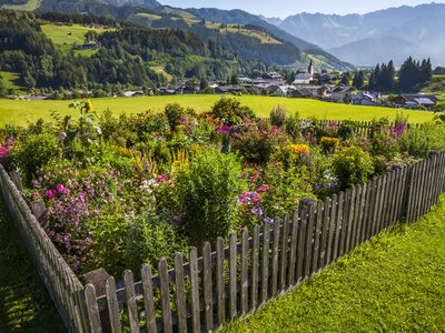 Bauerngarten mit Blumen | © Urlaub am Bauernhof / Bernd Suppan Bauerngarten mit Blumen | © Urlaub am Bauernhof / Bernd Suppan