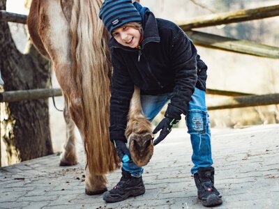 Bub hebt Hinterfuss von Pferd | © Urlaub am Bauernhof Österreich / Ludwig Bub hebt Hinterfuss von Pferd | © Urlaub am Bauernhof Österreich / Ludwig