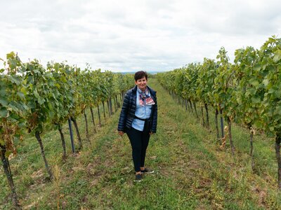 Dorothea in den Weinreben | © Urlaub am Bauernhof / Daniel Gollner Dorothea in den Weinreben | © Urlaub am Bauernhof / Daniel Gollner