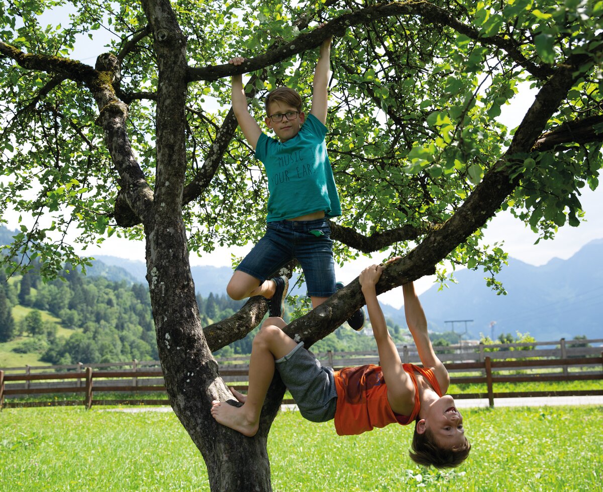 Buben klettern auf einen Baum | © Urlaub am Bauernhof / Punkt und Komma