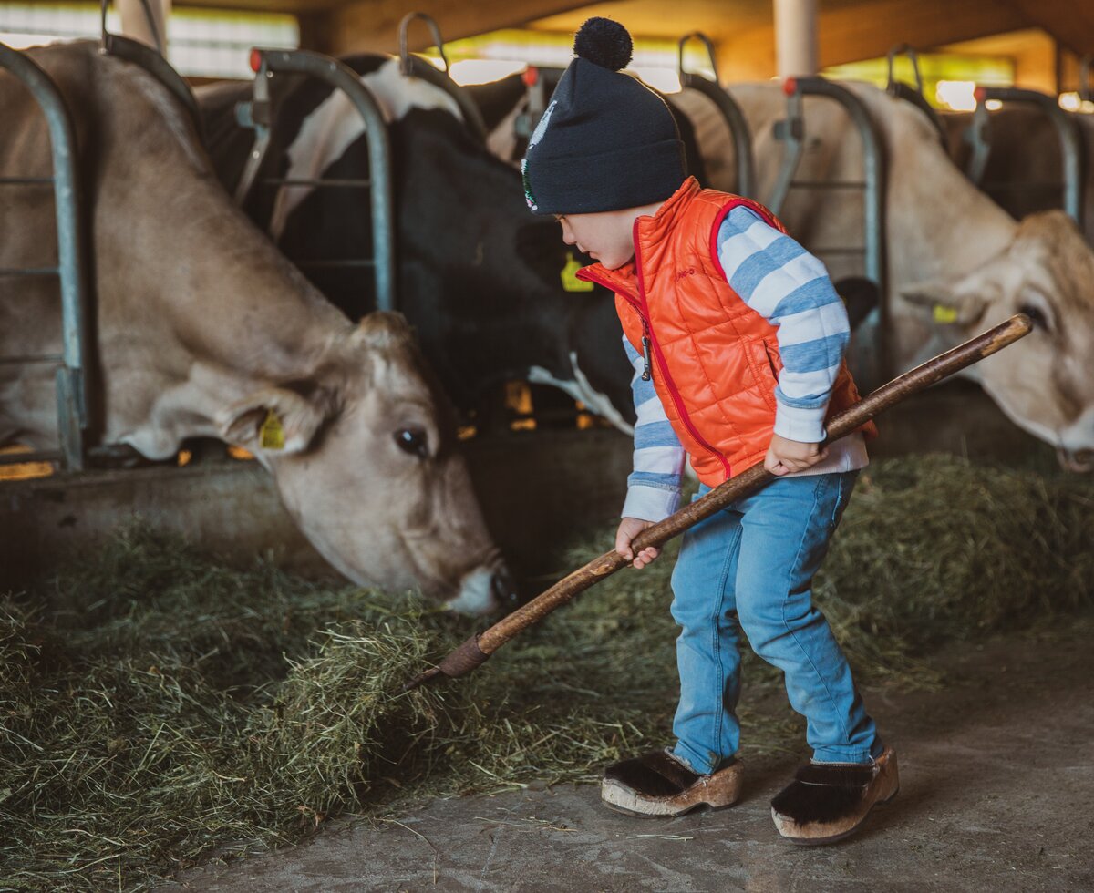 Bub hilft bei der Stallarbeit | © Urlaub am Bauernhof in Österreich / Pascal Baronit Bub füttert die Kühe im Stall mit Heu | © Urlaub am Bauernhof in Österreich / Pascal Baronit