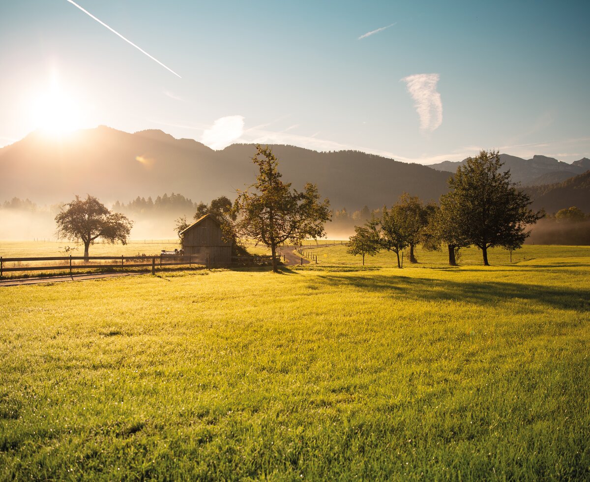 Herbststimmung in Vorarlberg | © Urlaub am Bauernhof in Österreich / Pascal Baronit Blick auf eine Hütte mit herbstlichen Wiesen und Tau in der Morgensonne | © Urlaub am Bauernhof in Österreich / Pascal Baronit