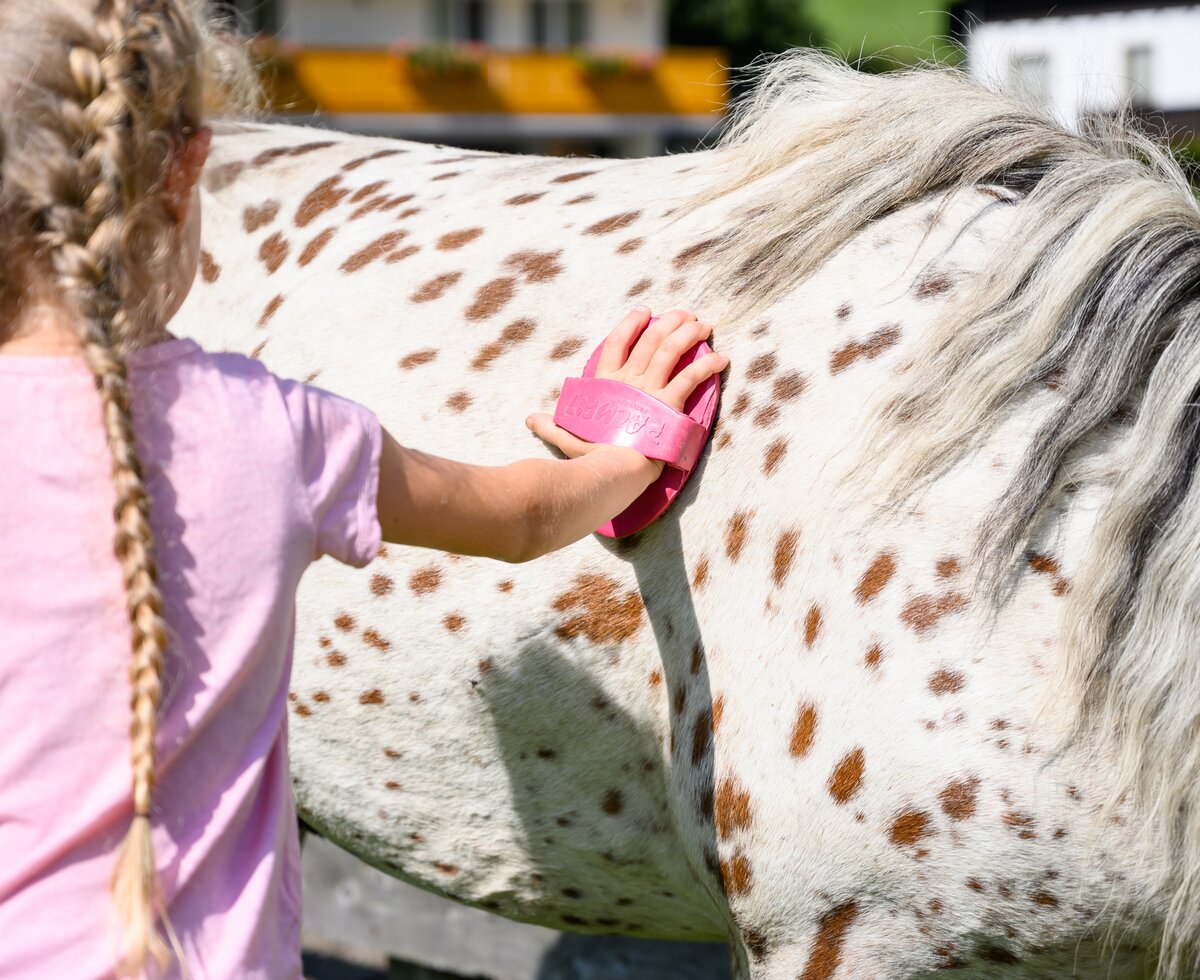 Ein Mädchen striegelt ein Pferd | © Urlaub am Bauernhof / Punkt und Komma Ein Mädchen striegelt ein Pferd | © Urlaub am Bauernhof / Punkt und Komma