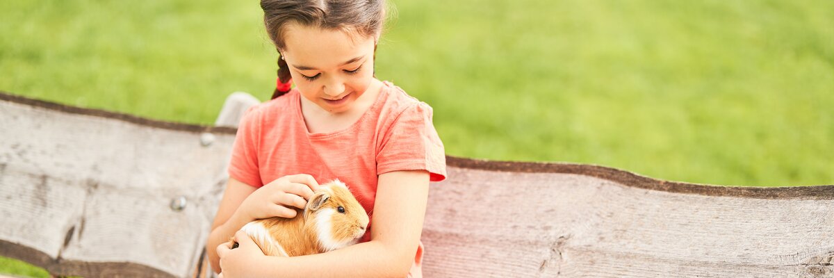 Ein junges Mädchen in einem orangefarbenen T-Shirt sitzt auf einer Holzbank und hält ein kleines Haustier, vermutlich ein Meerschweinchen, in den Armen. Die ländliche Umgebung mit grünen Wiesen und Bäumen im Hintergrund vermittelt eine friedliche Atmosphäre. | © Urlaub am Bauernhof / Punkt und Komma