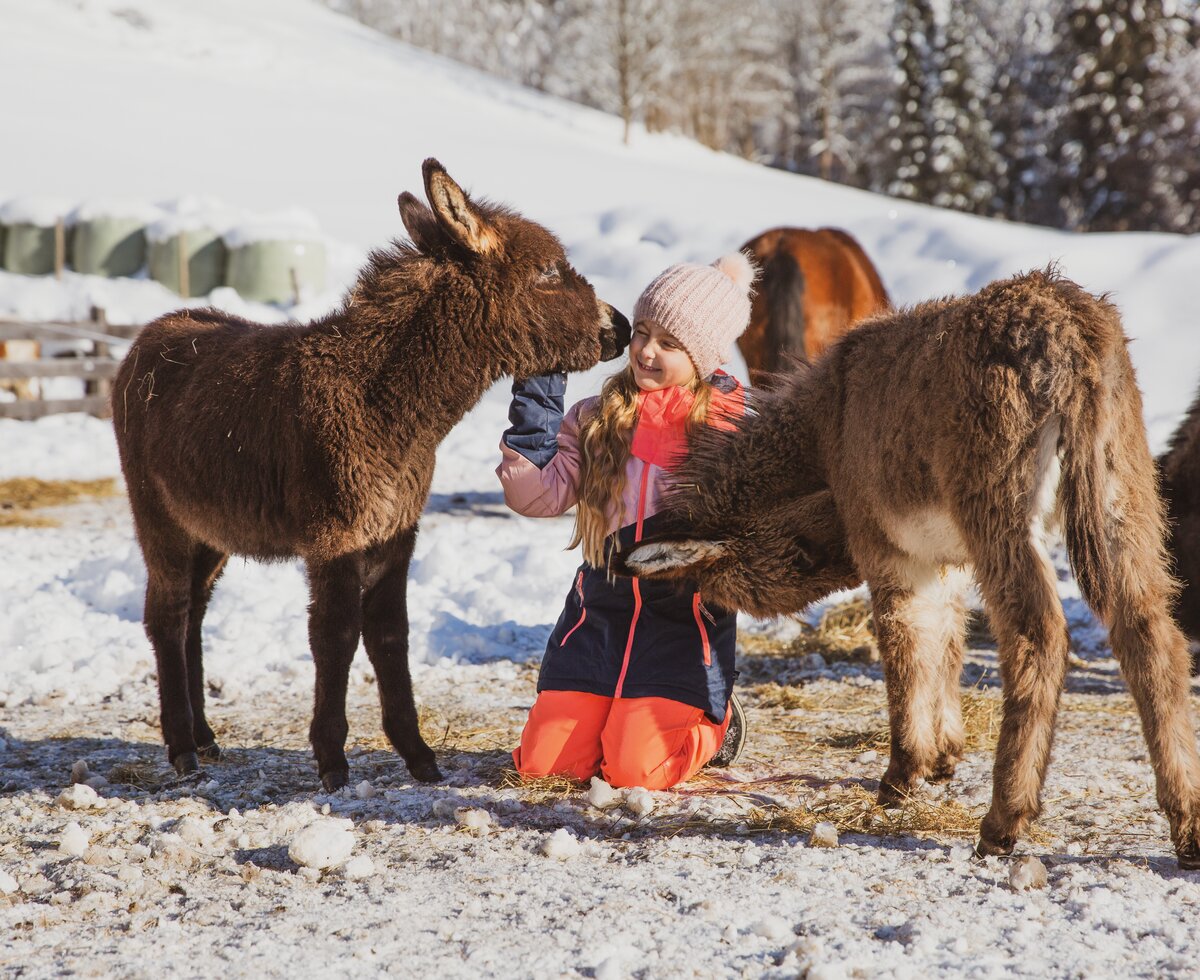 Mädchen mit zwei Eseln im Schnee | © Urlaub am Bauernhof / Pascal Baronit Mädchen sitzt im Schnee und streichelt zwei Esel | © Urlaub am Bauernhof / Pascal Baronit