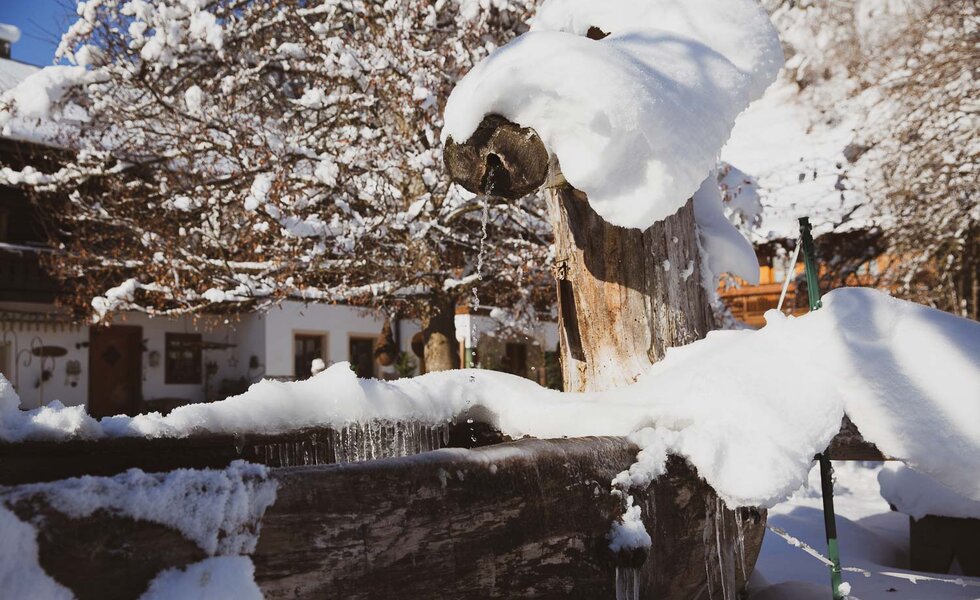 Verschneiter Obstgarten mit Holzstumpf und Eisformationen, umgeben von schneebedeckten Bäumen und einem hellen, klaren Himmel. Eine winterliche Szene, die Ruhe und Abgeschiedenheit ausstrahlt. | © Urlaub am Bauernhof / Pascal Baronit