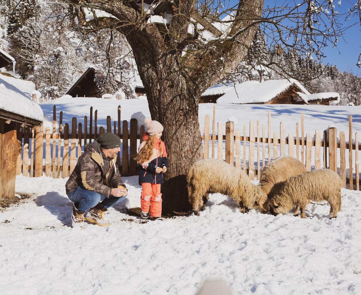 Ein verschneites Bauerngehöft mit Schafherde, vor dem zwei Personen im Winteroutfit im Schnee sitzen. Ein alter Laubbaum ragt über der Szene. Ein gemütlicher Wintertag auf dem Land. | © Urlaub am Bauernhof Österreich / Pascal Baronit
