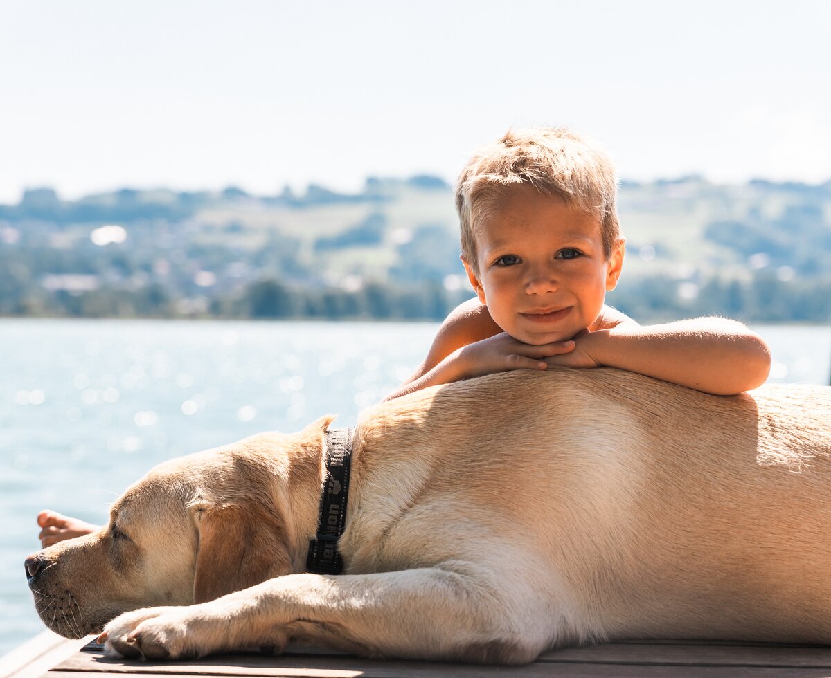 A young boy cuddling a relaxed golden retriever, overlooking a scenic lake with distant hills on a sunny day. | © Urlaub am Bauernhof / Punkt und Komma