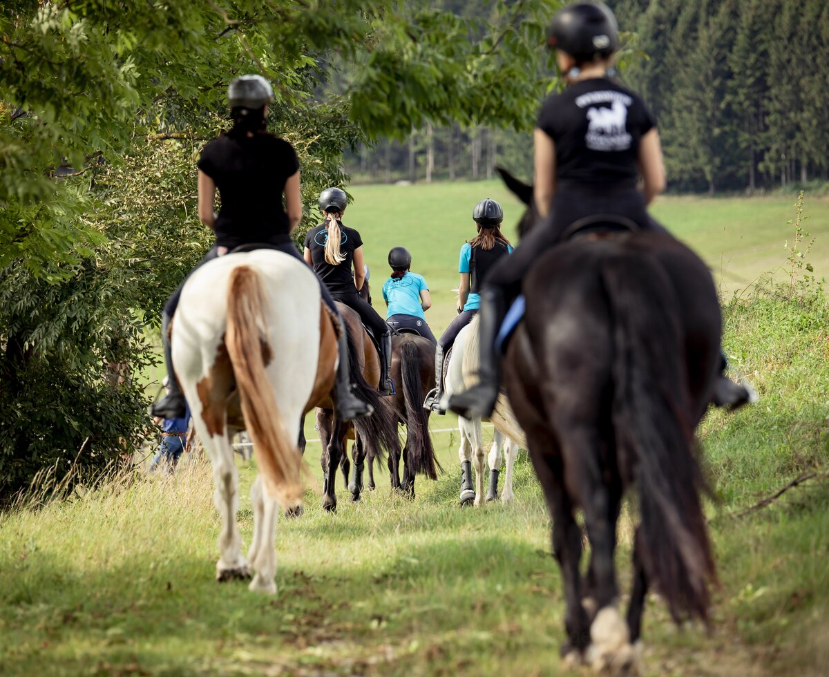 Ausritt im Gelände am Pferdehof Stockner | © Urlaub am Bauernhof Österreich / Andreas Hofer Ausritt im Gelände am Pferdehof Stockner auf der Teichalm in der Steiermark | © Urlaub am Bauernhof Österreich / Andreas Hofer