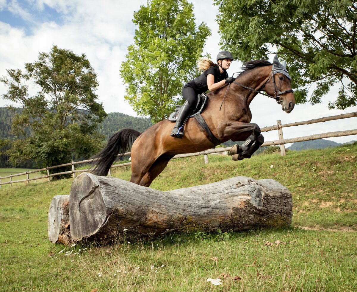 Mädchen springt mit Pferd über einen Baumstamm | © Urlaub am Bauernhof Österreich / Andreas Hofer Mädchen springt mit Pferd über einen Baumstamm am Pferdehof Stockner auf der Teichalm | © Urlaub am Bauernhof Österreich / Andreas Hofer