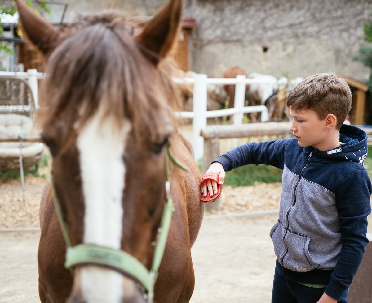 Bub striegelt Pferd | © Urlaub am Bauernhof / Daniel Gollner Bub striegelt Pferd | © Urlaub am Bauernhof / Daniel Gollner