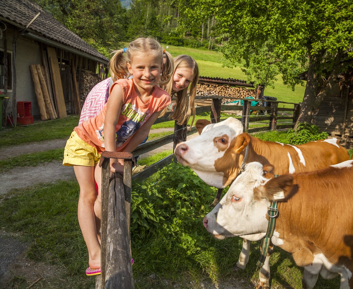 Kinder mit Kühen, Einberghof in Pfarrwerfen, Salzburger Land | © Urlaub am Bauernhof Salzburger Land / Bernd Suppan Kinder mit Kühen, Einberghof in Pfarrwerfen, Salzburger Land | © Urlaub am Bauernhof Salzburger Land / Bernd Suppan
