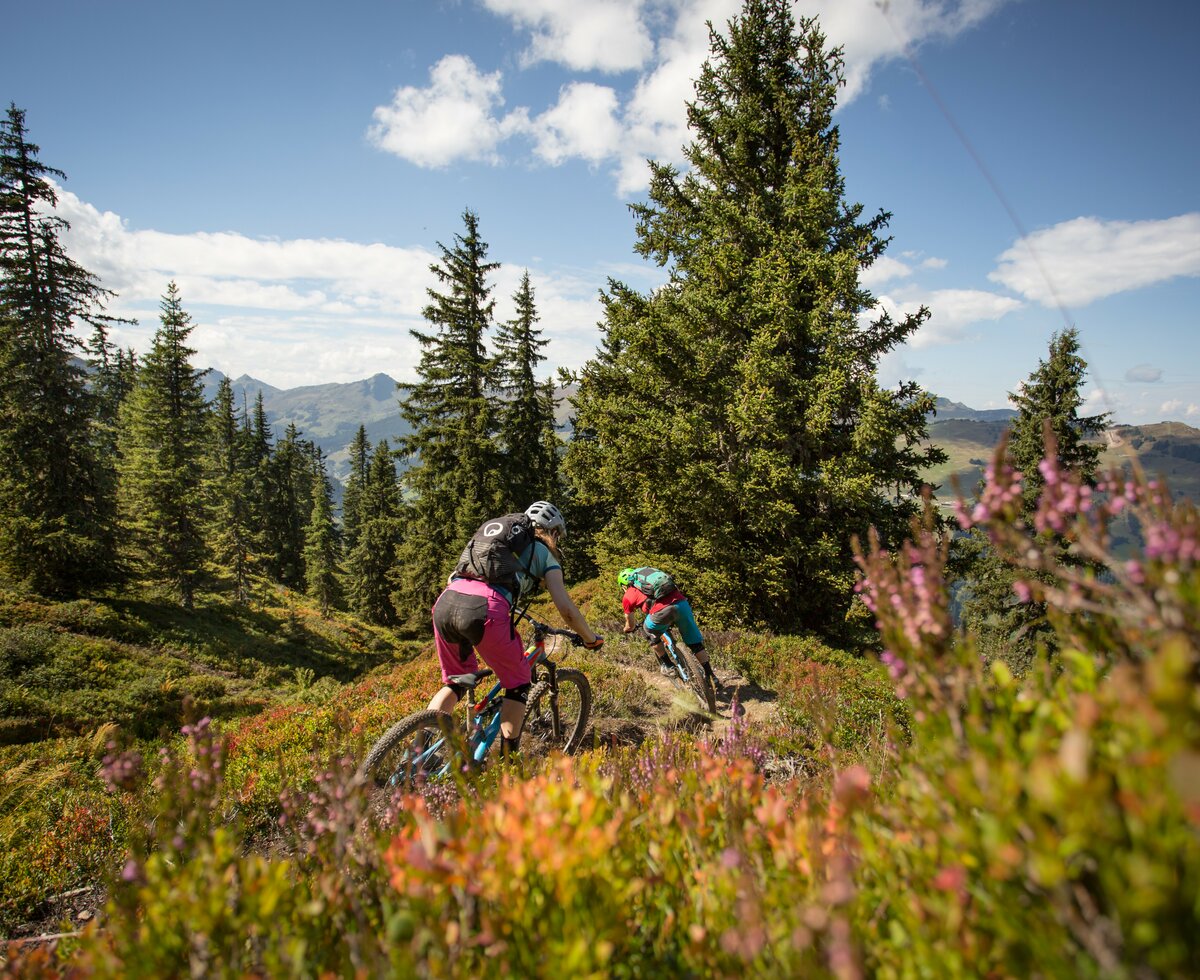Mountainbiken Saalbach | © Salzburger Land Tourismus/ David Schltheiss Mountainbiken Saalbach | © Salzburger Land Tourismus/ David Schltheiss