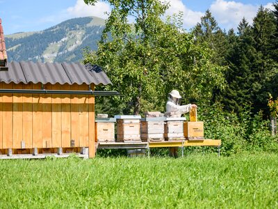 Bienenhaus am Anglergut in St.Koloman | © Urlaub am Bauernhof/Punkt und Komma gmbh Bienenhaus am Anglergut in St.Koloman | © Urlaub am Bauernhof/Punkt und Komma gmbh