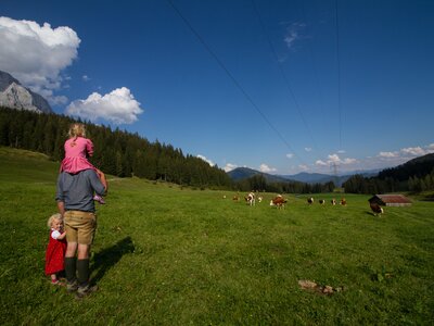 Bauer mit Kindern auf der Dientalm blick in die Ferne, Mühlbach am Hochkönig, Salzburger Land | © Dientalm / Matthias Gruber