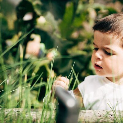 Ein kleiner Bub auf Entdeckungsreise im Garten. | © Urlaub am Bauernhof im SalzburgerLand / Daniel Gollner