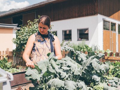 Bauerngarten Conny Rohrmoser Reiterhof, St. Johann, Salzburger Land | © Urlaub am Bauernhof Salzburger Land / Daniel Gollner