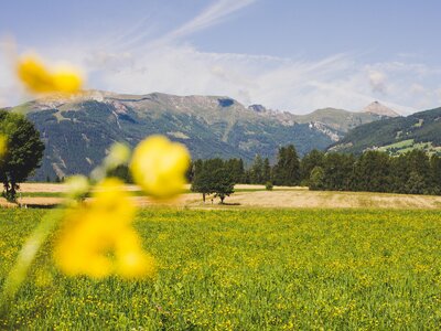 Landschaft, Samerhof in Mariapfarr, Salzburger Lungau | © Urlaub am Bauernhof Salzburger Land / Matthias Gruber Landschaft, Samerhof in Mariapfarr, Salzburger Lungau | © Urlaub am Bauernhof Salzburger Land / Matthias Gruber