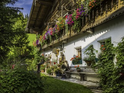 Berghof-Pension Wildau | © Urlaub am Bauernhof / Bernd Suppan Berghof-Pension Wildau in St. Martin am Tennengebirge, SalzburgerLand | © Urlaub am Bauernhof / Bernd Suppan