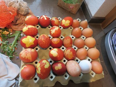 Ostereier mit Naturfarben färben | © Windhofgut / Andrea Schilchegger Ostereier mit Naturfarben färben | © Windhofgut / Andrea Schilchegger