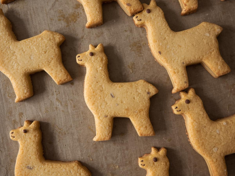 Lamakekse | © Ki generiert