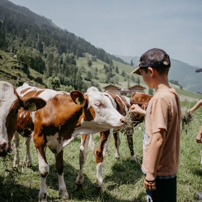 Buben fuettern Kuehe | © Urlaub am Bauernhof/ Nadja Jabli